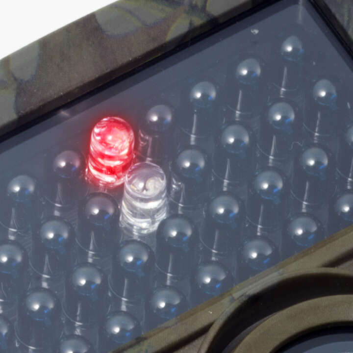 TECHNAXX Nature Wild Cam TX-69